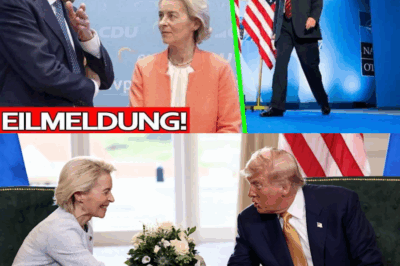 “Politbombe: Trump sprengt die NATO – Europa steht ohne Schutzschirm da! Deutschlands chaotische Lage nach dem Austritt der USA, die AfD als einzige Alternative. Wird Deutschland souverän oder zerbricht die Union?”