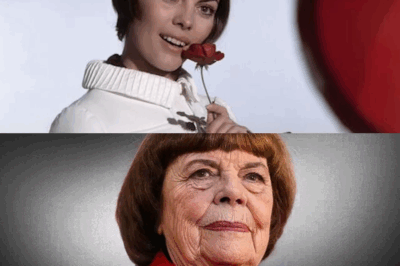 Mireille Mathieu : La vérité cachée derrière sa carrière légendaire, ses amours tragiques et son lien profond avec Johnny Stark ! Découvrez les secrets de son cœur brisé et la quête d’amour qui a marqué son parcours exceptionnel.