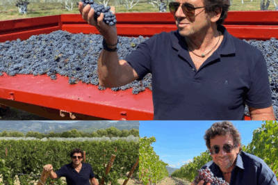 “Construction d’un hôtel, sa vie en Provence… Patrick Bruel, une passion nommée l’Isle-sur-la-Sorgue – Découvrez comment le chanteur a trouvé sa paix et son inspiration dans ce village provençal, entre projets personnels et amour pour la région !”