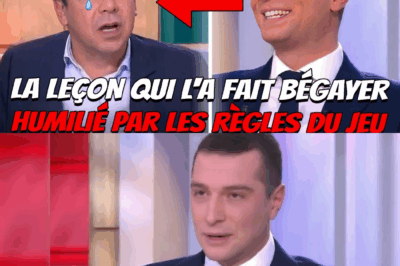 « Vous êtes un trop bon journaliste pour ignorer… » : La leçon de droit magistrale de Bardella qui a fait bégayer Patrick Cohen en direct
