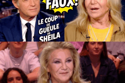 Sheila face à Delahousse : La Vérité nue d’une Icône Brisée par 40 ans de Rumeur