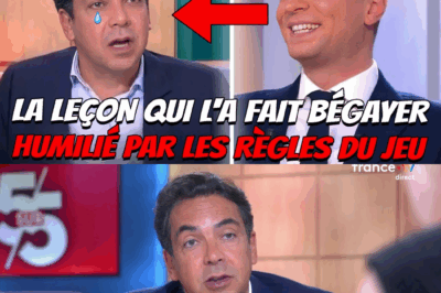 Leçon de Droit et KO Budgétaire : Jordan Bardella Humilie Patrick Cohen en Direct et Révèle le Vrai Coût de l’Immigration