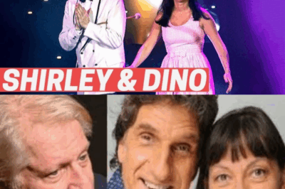 Disparition de Shirley et Dino : Le lourd secret derrière les rires et leur incroyable renaissance loin des caméras