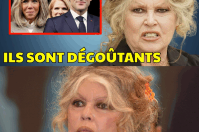 « Mensonges », « trahison », « silence complice » : à 90 ans, la fureur intacte de Brigitte Bardot contre le couple Macron