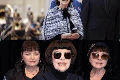 Tragedy ou supercherie ? 😨 Mireille Mathieu (79 ans) repérée seule à minuit près du Rhône – Monique absente, un coffre ancien découvert dans leur demeure à Avignon… Était-ce vraiment un accident ? 🕯️ 👉 Voir le 1er commentaire 👇👇
