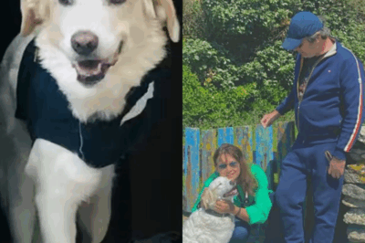 Drame silencieux et souvenir éternel 🌹 – Sur Instagram, Jean-Luc Reichmann publie une image qui bouleverse tout le monde 😭. Un cliché en noir et blanc, un regard perdu dans la lumière, et ces quelques mots : “Pour toi, toujours.” 💔 Depuis la disparition de cet être cher, l’animateur de “Les 12 Coups de Midi” semble toujours en deuil… Mais qui se cache derrière ce message si tendre ? Un secret de famille ? Une amitié passée sous silence ? 😢💭 👉 Découvrez la photo et son histoire dans le 1er commentaire 👇👇