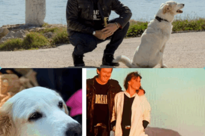 Drame silencieux et chagrin infini 🌹 – Jean-Luc Reichmann brise le silence après la disparition de sa chienne Donna 💔. Une photo en noir et blanc, un regard perdu, et ces mots qui déchirent : “Tu es à tout jamais dans notre vie.” 😢 Derrière ce message, un secret plus profond se cache-t-il ? Était-ce une mort naturelle ou le résultat d’une longue lutte silencieuse ? 💭 Les fans bouleversés cherchent à comprendre l’origine de cette douleur… 😭 👉 Voir le 1er commentaire pour les détails cachés 👇👇