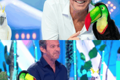 Explosive révélation – Jean-Luc Reichmann déstabilisé pendant Le Combat des Maîtres des 12 Coups de Midi : alors que l’on espérait enfin voir des femmes représentées, un silence lourd s’installe, question choc – discrimination, hasard ou vérité cachée derrière les coulisses ? 😱⚡ 👉 Voir le 1er commentaire 👇👇