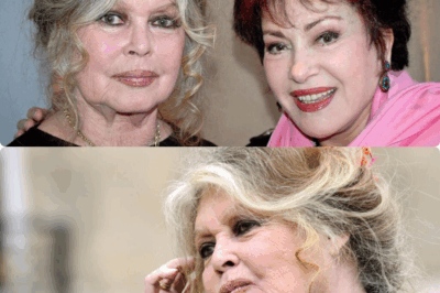 À 91 ans, Brigitte Bardot bouleverse la France avec une déclaration inattendue : « Il est le seul à pouvoir me faire ça » — un aveu troublant qui révèle le lien secret entre la légende du cinéma et cet homme mystérieux dont elle tait le nom depuis des décennies.