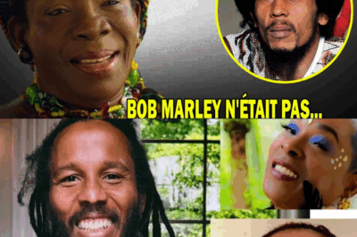 À 78 Ans, Rita Marley Brise le Silence : L’Histoire Secrète de Trahison, de Foi et de Fraude derrière la Légende de “One Love”