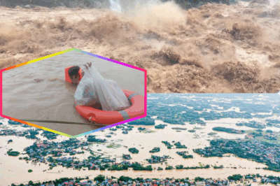 « Il ne reste plus rien : alors que le Vietnam est englouti sous des inondations d’une violence jamais vue, des villages entiers disparaissent, des familles sont arrachées en pleine nuit, et les autorités parlent d’un “phénomène exceptionnel”… mais une vérité troublante, cachée depuis des années, commence enfin à émerger parmi les survivants, révélant peut-être la véritable cause de ce désastre dévastateur — cliquez sur le lien pour tout comprendre »