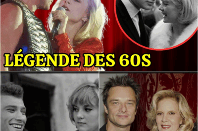 L’Onde de Choc Johnny : Comment le “Rebelle Doré” a Réveillé la France des Années 60