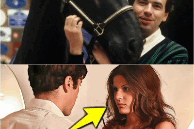 Le Parrain : L’histoire secrète d’un chef-d’œuvre né du chaos, de la peur et d’une tête de cheval bien réelle