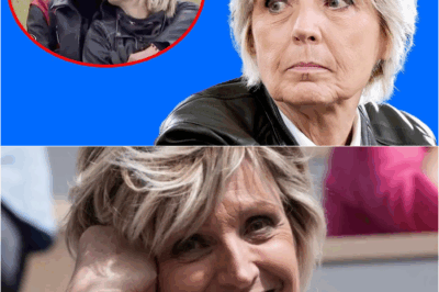 Le Cœur Brisé sous le Soleil : Le Combat Secret et les Larmes Cachées d’Évelyne Dhéliat pour Sauver sa Fille