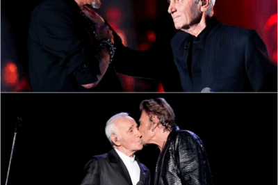 Aznavour et Hallyday : Le Duo de la Revanche et de l’Éternité