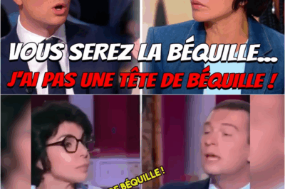 La “Béquille de Macron” : Comment la prédiction de Bardella est devenue l’arme rhétorique qui a redéfini l’opposition en France