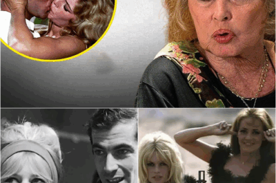 À 90 Ans, Brigitte Bardot Avoue Enfin : L’Amour de Sa Vie Révélé Après 100 Amants et 4 Mariages