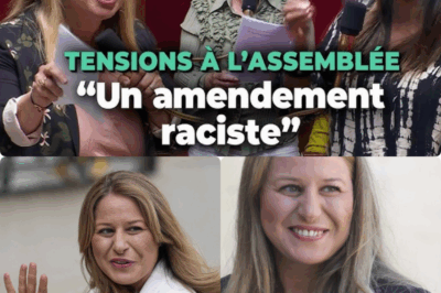 🔥 Nadia Hai explose à l’Assemblée nationale : “Assez de ces attaques contre les Français à double nationalité !” 💥 Quand un amendement du Rassemblement national vise à exclure les binationaux de certaines fonctions publiques, l’ancienne ministre perd son calme. Entre cris, indignation et larmes, la députée d’origine marocaine dénonce un climat politique devenu “toxique et dangereux”. Cette scène surréaliste, filmée en direct, expose le vrai visage des tensions identitaires en France. Que s’est-il vraiment passé dans l’hémicycle ce jour-là ? 😱 Révélations, émotions et colère au sommet du pouvoir. 👇