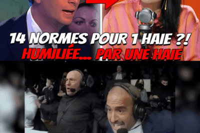 “14 normes pour une haie ?!” : Comment Jordan Bardella a fait imploser le piège d’Apolline de Malherbe en direct