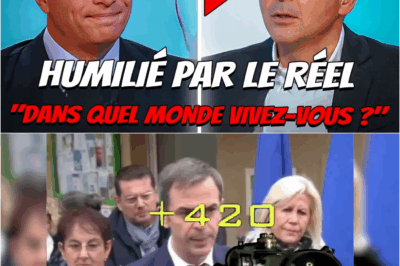 Humilié par le réel : Quand Jordan Bardella « détruit » la bien-pensance médiatique en direct face à Thomas Sotto