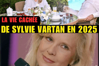 Sylvie Vartan : L’Empire Secret de l’Icône – Entre Millions, Villas Mythiques et Prudence Financière