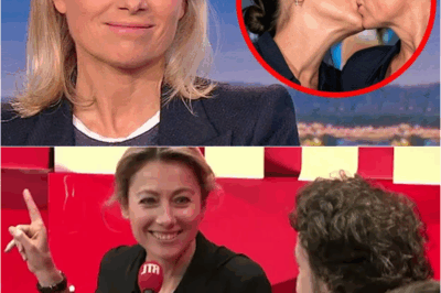 À 53 ans, Anne-Sophie Lapix brise le silence : La vérité douloureuse sur son fils et la blessure qui la hante