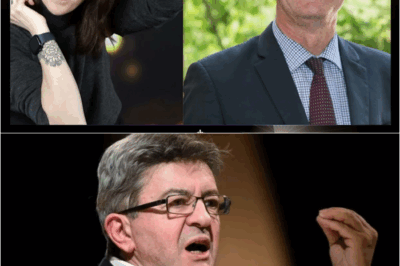 BFMTV reconnaît en direct : Jean-Luc Mélenchon et LFI avaient raison, Macron contraint de suivre