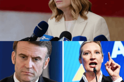 “Macron est fini” : L’attaque fracassante d’Alice Weidel qui fait trembler l’Europe