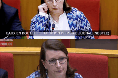 Nestlé Waters face au Sénat : Le Silence Coupable de la Direction et l’Arrogance d’un Géant aux Pieds d’Argile