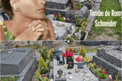 Romy Schneider et Alain Delon : Le pèlerinage bouleversant sur la tombe de l’étoile brisée, symbole d’un amour plus fort que la mort