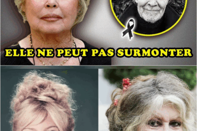 Décès de Jacques Charrier : La Révélation Choc sur le Fils de Brigitte Bardot qui Brise 60 Ans de Silence