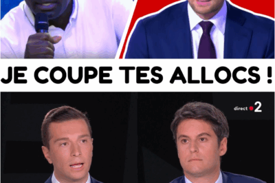 Bardella “Détruit” un Plateau : Annonce Choc sur la Fin de la CAF, du RSA pour les Étrangers et “l’Ultimatum” de 6 Mois !