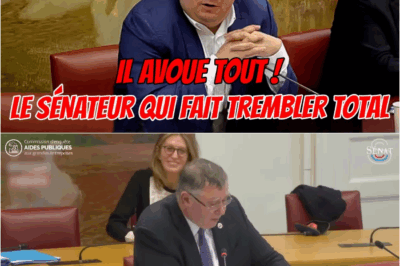 TotalEnergies face au Sénat : Aides, Emplois et “Menaces” – Les Révélations Choc de Patrick Pouyanné