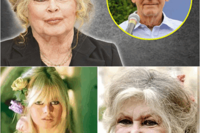 Brigitte Bardot : Quatre mariages et une solitude, la confession bouleversante d’une icône qui a payé le prix fort de sa liberté