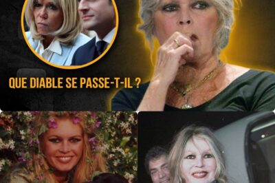 Explosion médiatique : Brigitte Bardot, 91 ans, lâche une bombe contre la France moderne, dénonçant “un pays sans beauté ni courage”. L’ancienne icône du cinéma, retirée depuis des décennies à La Madrague, signe un retour brutal dans le débat public avec des mots tranchants comme des lames. Derrière sa colère, une vérité dérangeante : Bardot ne parle pas seulement d’esthétique, mais d’une France qu’elle juge “moralement défigurée”. Son cri du cœur fait trembler les réseaux sociaux. Faut-il y voir une provocation de plus… ou l’ultime cri d’amour d’une femme qui a tout donné à son pays ?