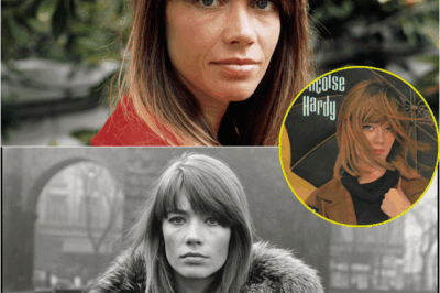 Françoise Hardy : « L’amour m’a rendu complètement folle » – Les confidences troublantes de l’icône sur la souffrance et l’au-delà