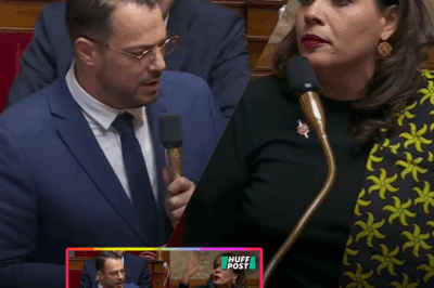“Vous êtes sérieux ?” : l’échange d’une violence inouïe entre deux députés à propos de Mayotte, où chaque phrase claque comme une gifle, où les accusations fusent, où les vérités inconfortables explosent au grand jour ; un face-à-face électrique, capté par les caméras, qui révèle les désaccords profonds sur l’avenir de l’île, les non-dits, les promesses brisées, et un malaise que même la présidente de séance n’a pas réussi à contenir – une scène surréaliste qui affole les réseaux et que beaucoup tentent de censurer.