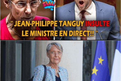TENSIONS EXPLOSIVES À L’ASSEMBLÉE : Jean-Philippe Tanguy Accule Élisabeth Borne sur le Dossier Brûlant des Conflits d’Intérêts et des Autoroutes