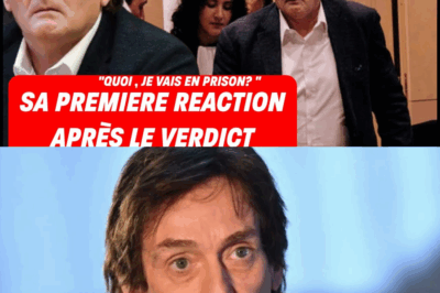“Alors, je vais vraiment en prison ?” : La Réaction Glaciale de Pierre Palmade Face à ses Deux Ans de Prison Ferme