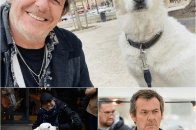 “Nous sommes dévastés” : Jean-Luc Reichmann en deuil, sa chienne Donna, star de “Léo Matteï”, est morte