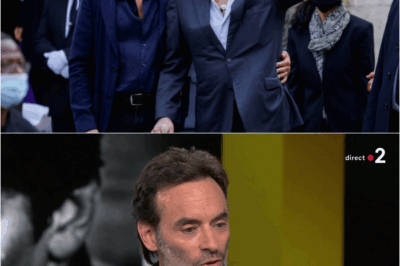 Le Crépuscule du Samouraï : Les aveux déchirants d’Anthony Delon sur le combat final de son père et la guerre des clans à Douchy