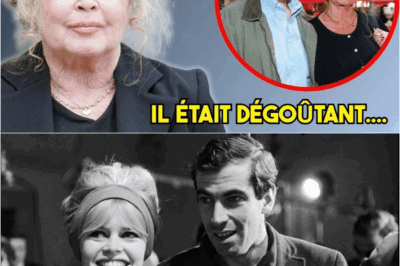 Brigitte Bardot, le crépuscule d’une idole : À 91 ans, recluse et apaisée, elle dévoile ses ultimes secrets et son testament choc