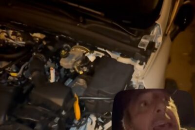 Jura : comment la paisible Roselyne, belle-mère discrète de Jean-Luc Reichmann, s’est retrouvée au cœur d’un mystérieux “désossement nocturne” qui bouleverse encore les habitants, une affaire pleine d’ombres, de traces étranges retrouvées au petit matin et de questions auxquelles personne, pas même l’animateur star, ne semble avoir de réponse claire, alors que le village murmure des théories de plus en plus inquiétantes, entre règlement de comptes rural, vengeance silencieuse et intrusion venue d’ailleurs, dans une nuit où tout a basculé sans qu’aucun témoin n’ait rien vu – cliquez pour découvrir l’histoire complète