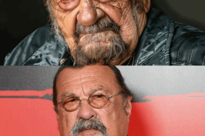 💥 La tragique vérité indescriptible de Steven Seagal : un secret que l’acteur a gardé pendant des années et qui secoue le monde entier. Dans une révélation explosive, l’emblématique star des films d’action dévoile des aspects sombres de sa vie, des épreuves inimaginables et des drames qui ont marqué son existence.