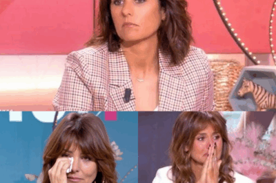 Le Prix de l’Empathie : L’Effondrement Inédit de Faustine Bollaert en Direct Révèle le Poids Écrasant du Deuil