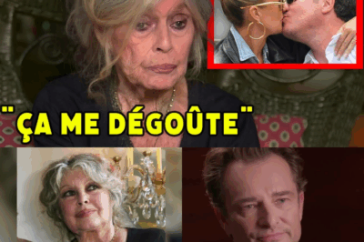 « Ça me Dégoûte » : Quand Brigitte Bardot, à 83 Ans, a Brisée le Silence et Fait Basculer l’Affaire de l’Héritage Hallyday