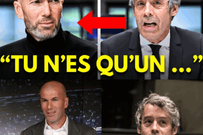 « La Silencieuse Dignité » : Zidane Pulvérise la Provocation de Yann Barthès avec une Leçon de Courage Moral