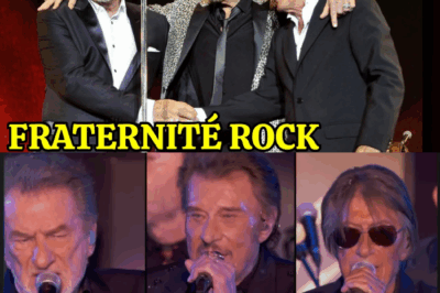 Johnny, Eddy, Jacques : La “Fraternité d’Âmes” qui a défié le temps et la gloire, testament d’une amitié indestructible