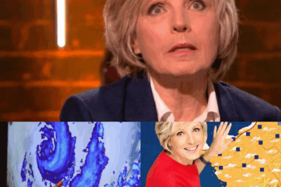 L’Oracle Numérique : Comment l’IA Révolutionnaire de DeepMind Menace le Trône d’Évelyne Dhéliat et Redéfinit la Météo Mondiale