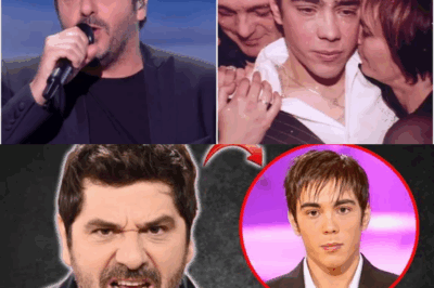 L’Ultime Secret de Bébel : Comment sa Passion Dévoreuse et Dissimulée pour les Chevaux a Scellé le Triomphe d’une Vie Complète